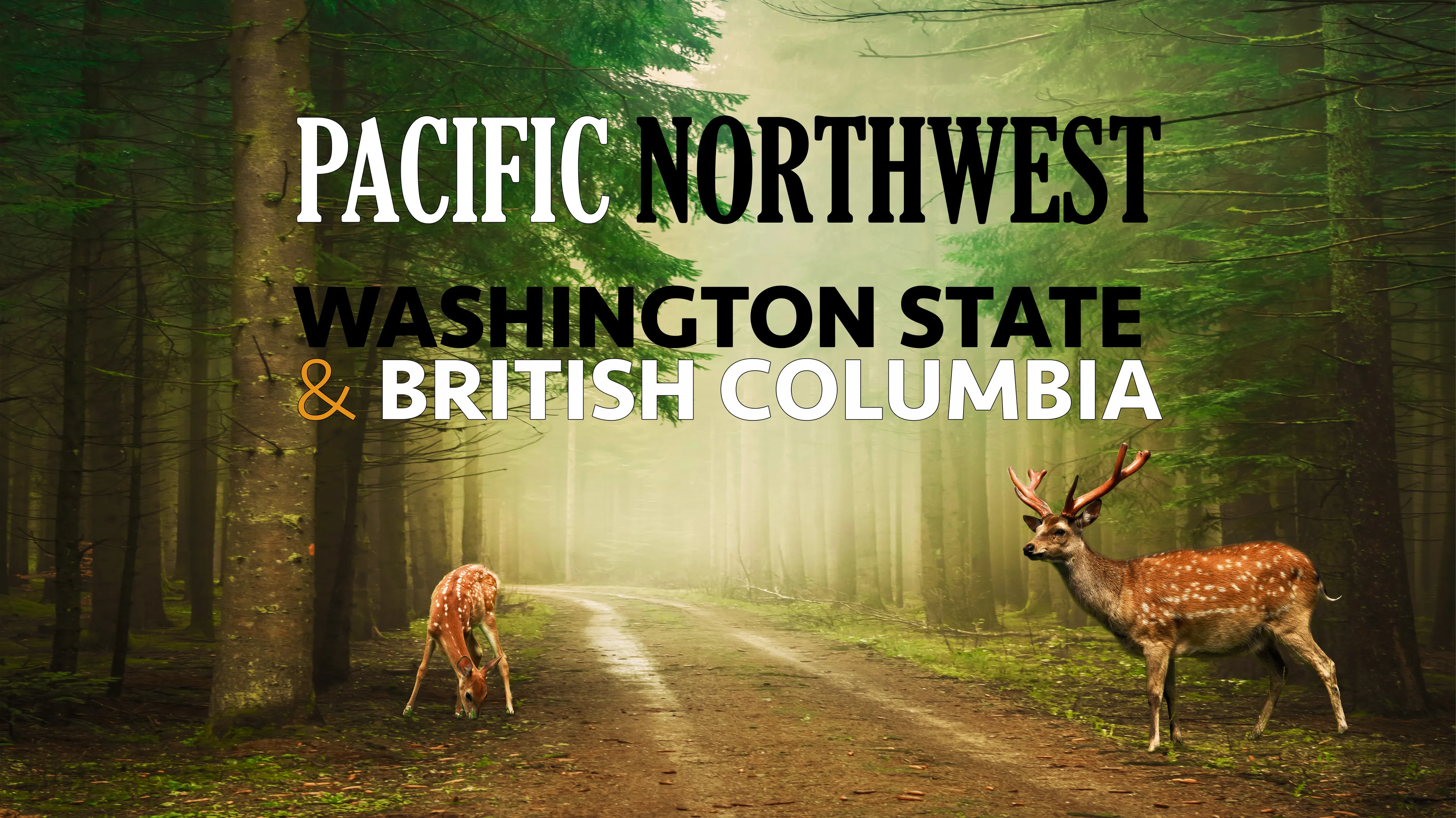 Pacific Northwest, Washington State & British Columbia poster